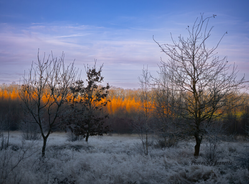 Tidlig morgen...