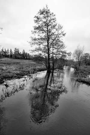 En å i Bylderup