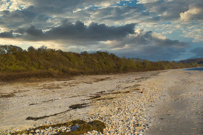 ved halkhoved strand 2023