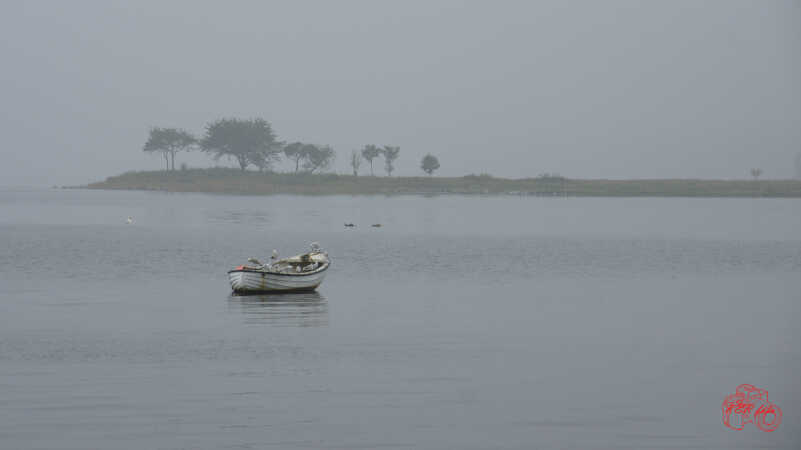 Tåge ved Flensborg fjord