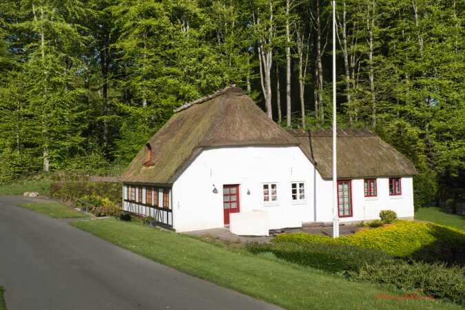 Huset ved skoven