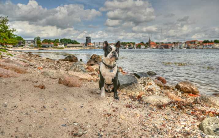 Otto..