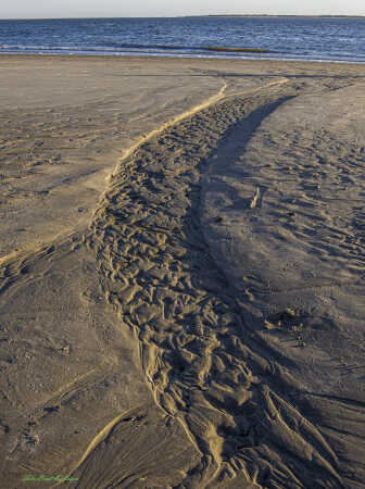 2025 aug 20 floddelta sand Rømø sønderstr (1)-SharpenAI-Motion