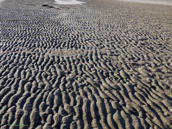 2025 aug 20 sandbølger Rømø sønderstr (2)-SharpenAI-Motion