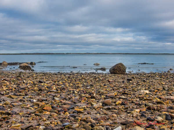 Når vandet Trækker sig , set fra Årø