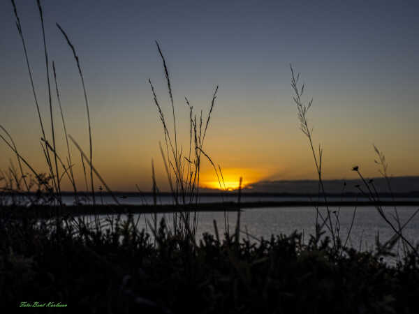 2025 nov 17 solnedgang gyldne time Halk Nor (35)