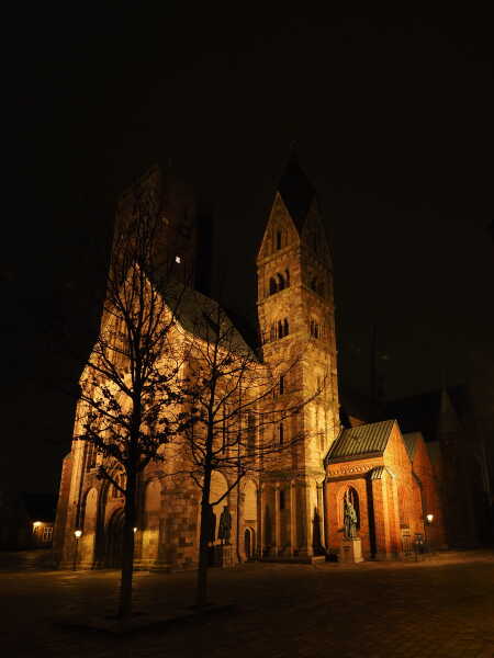 2025 dec 12 Ribe domkirke julesmykket (10)