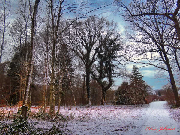 ved Starup Præstegård 2