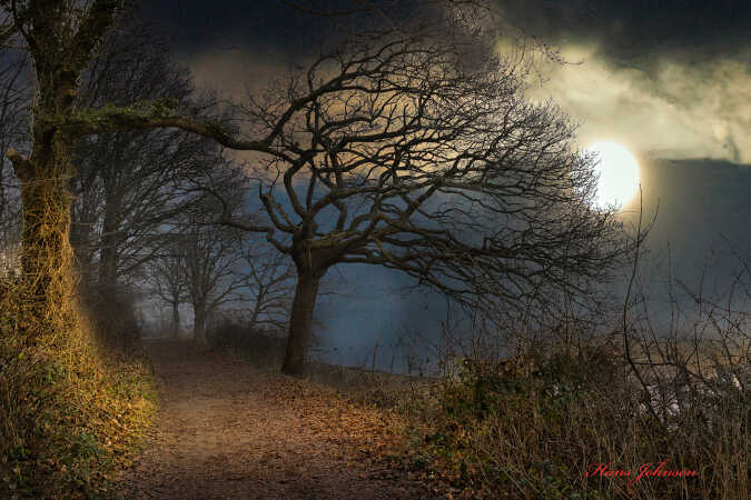 et nat motiv fra Kalvø