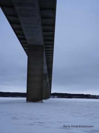 Vejle fjord bro en søndag i frost vejr 