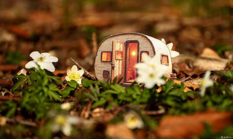 Camping...