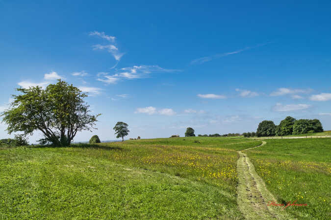 ved dybbøl mølle