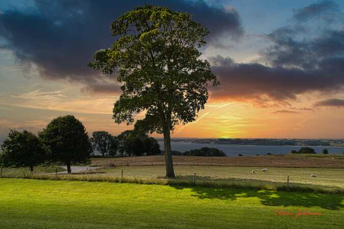 Dybbøl mølle