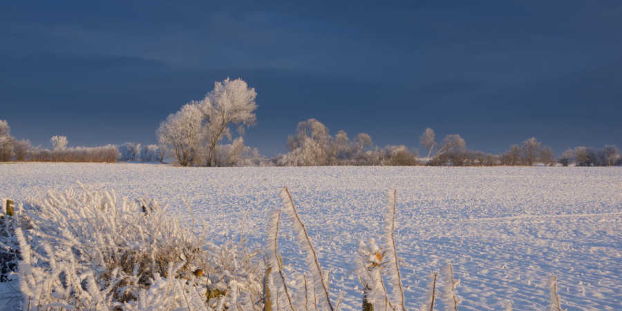 Blue sky and frost