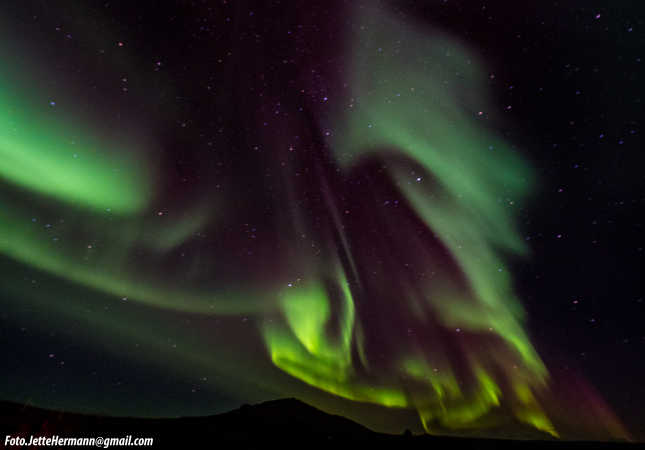 Nordlys Myvatn