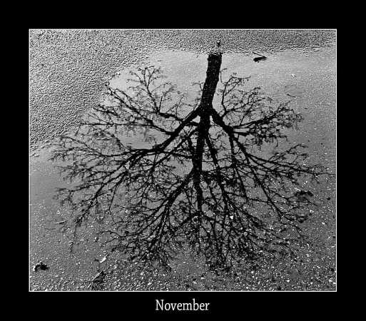 november