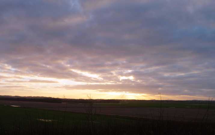 Solnedgang over Ørsted Plantage