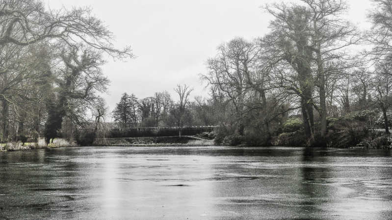 Frozen Lake