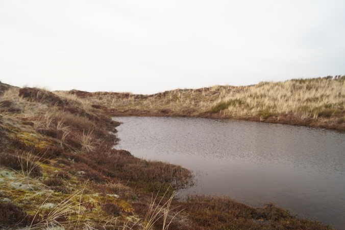 Sø i Lodbjerg klitplantage