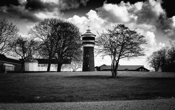 Tower between trees_