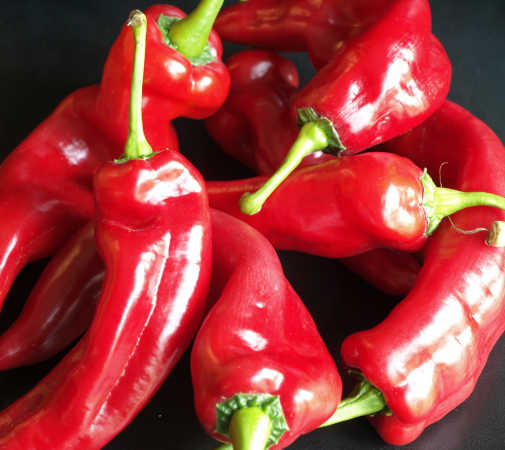 chilli