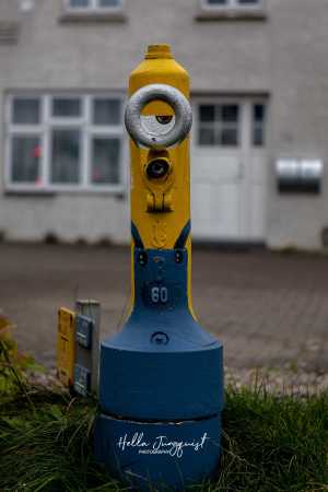 MINION