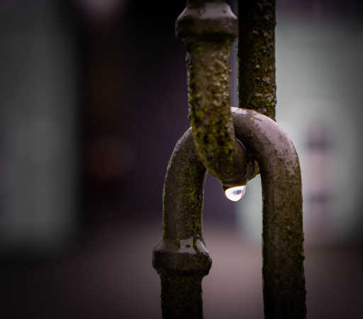 Raindrop