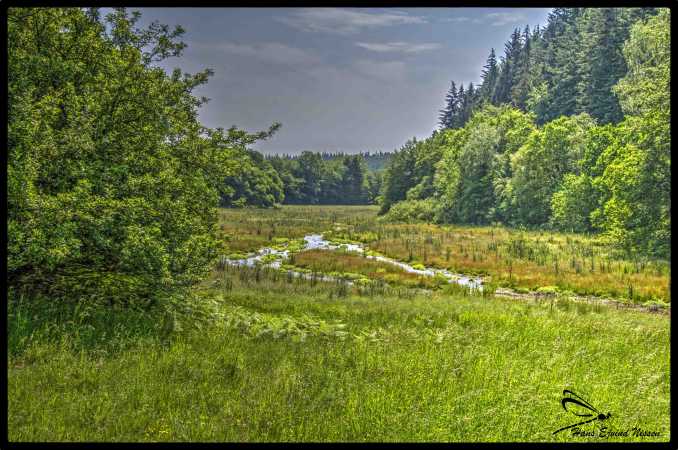 DSC_0285_6_Vibrant-11