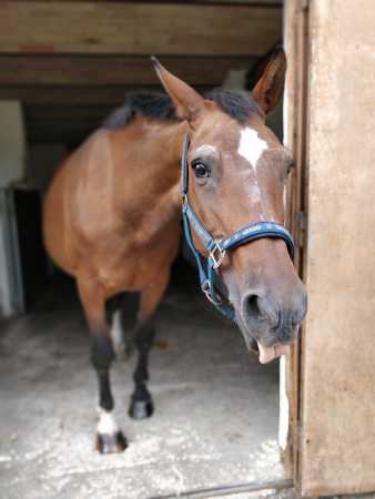 IMG_20190811_164136_Bokeh