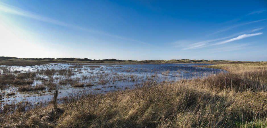 Rømø Panorama 