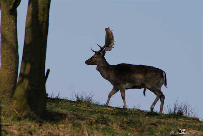 Dyrehaven Haderslev