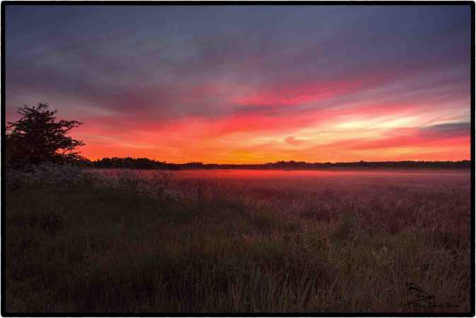 solopgang pinsemorgen 