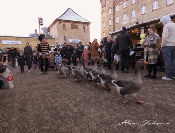 Gåsegang , på julemesse i Horsens statsfængsel